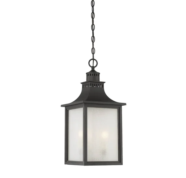 Savoy House 5-256-25 Monte Grande Slate Outdoor Hanging Lantern
