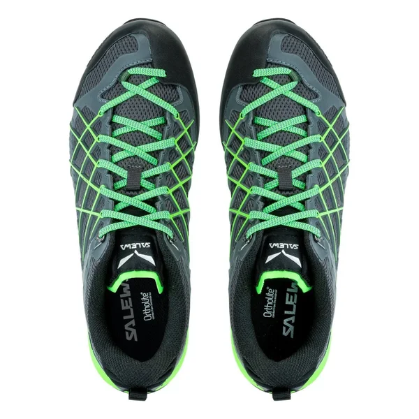 Salewa Men's Wildfire - Black Olive/Siberia - 12