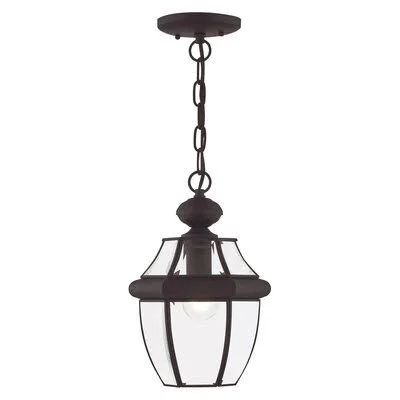 Carrington 1 -Bulb 10.75x22 H Outdoor Hanging Lantern Lark Manor Fixture Finish: Bronze