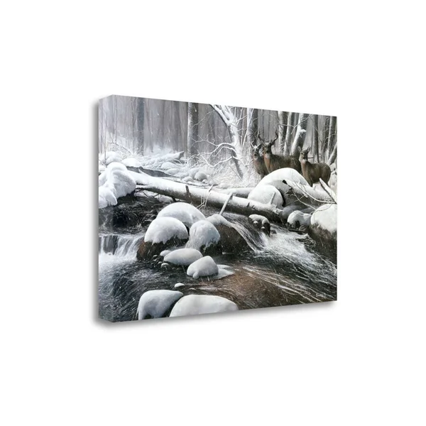 Tangletown Fine Art 'Winter Silence' Photographic Print on Canvas, White