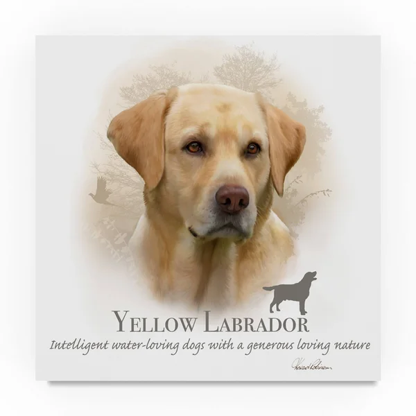 Trademark Art Howard Robinson 'Yellow Labrador' Canvas Art