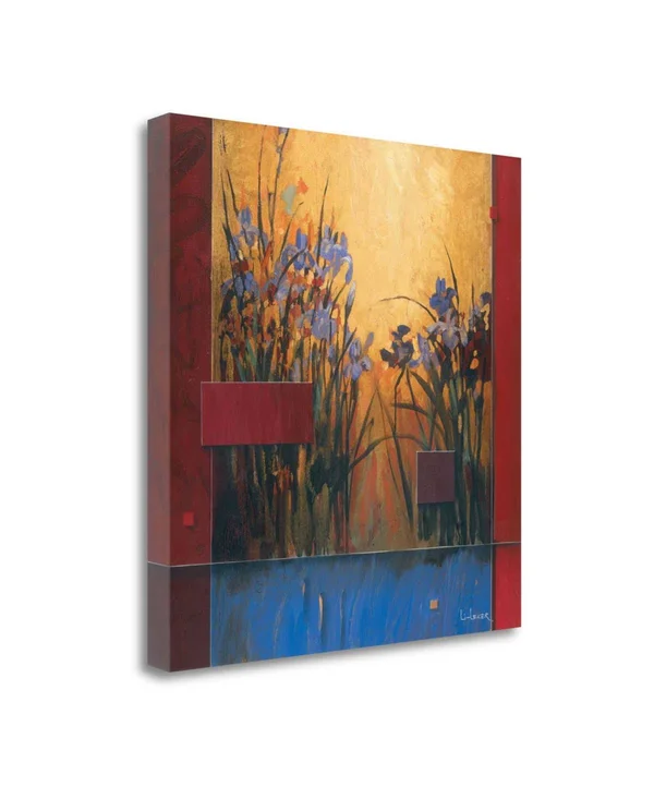 30x22 x 30x22 Iris Sunrise by Don Li-Leger Fine Art Giclee Print