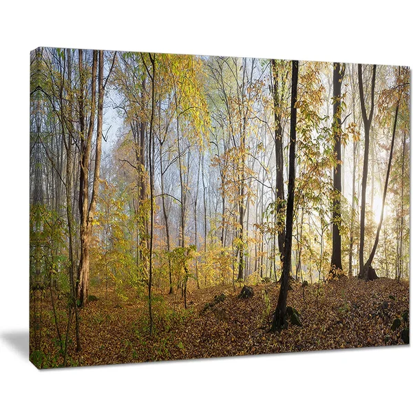 Designart &Green Autumn Forest in Morning& 4 Piece Wall Art on Wrapped Canvas Set