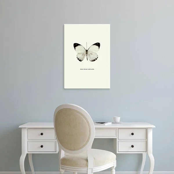 Easy Art Prints GraphINC's 'White Butterfly' Premium Canvas Art - 14 x 10 - Modern Black Frame