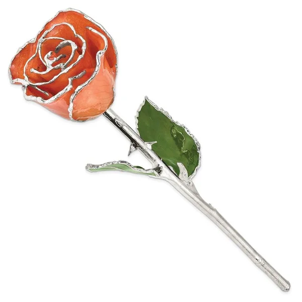 Lacquer Dipped Silver Trim Orange Rose