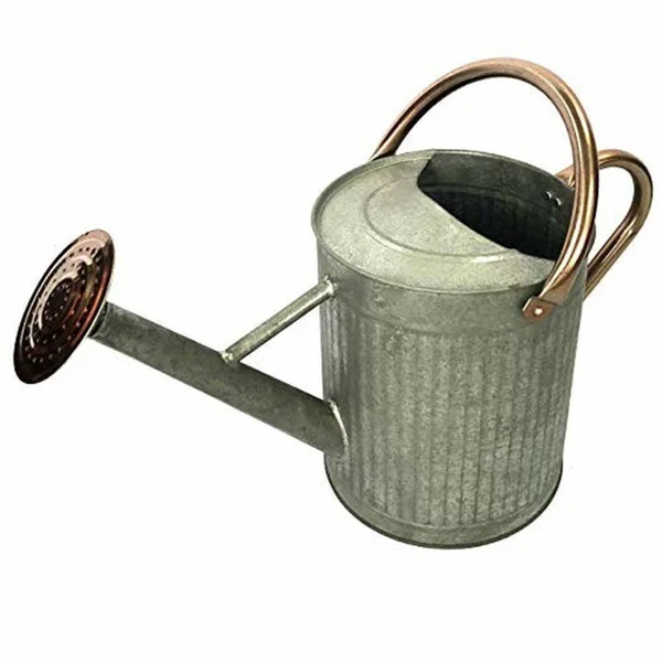 Gardener Select GSAW3006ZCGCNL7 7 LITER Water Can Antique