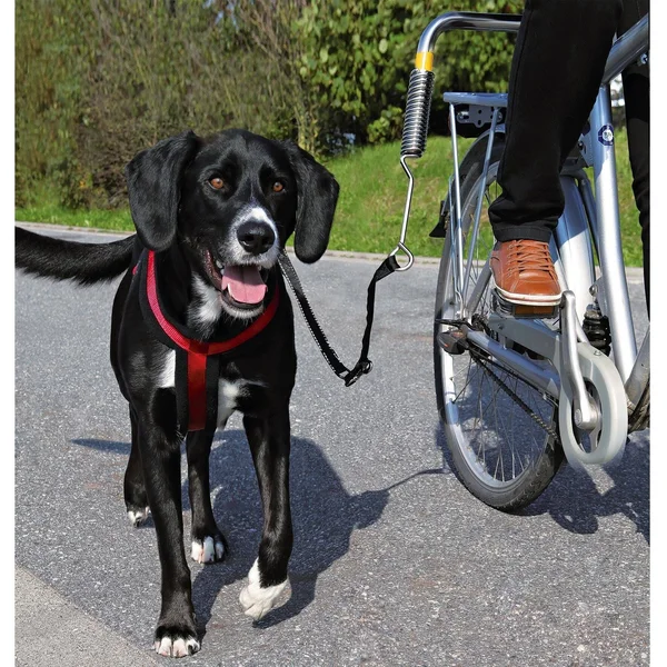 Trixie Biker Set for Large Dogs