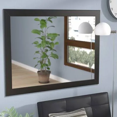 American Made Accent Wall Mirror Size: 24x22 x 36