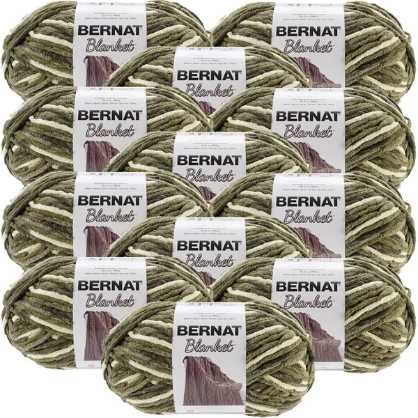 Bernat Blanket Big Ball Yarn - Gathering Moss, Multipack of 12