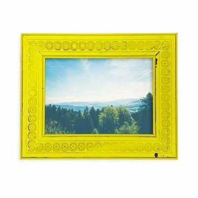 Mohler Flower Power Picture Frame Rosalind Wheeler Color: Dusty Lilac, Picture Size: 16x22 x 20x22