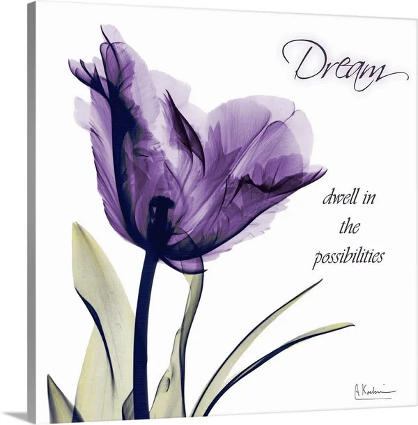 Tulip Dream X-Ray Photography - Canvas Wall Art, 16x16, Great Big Canvas