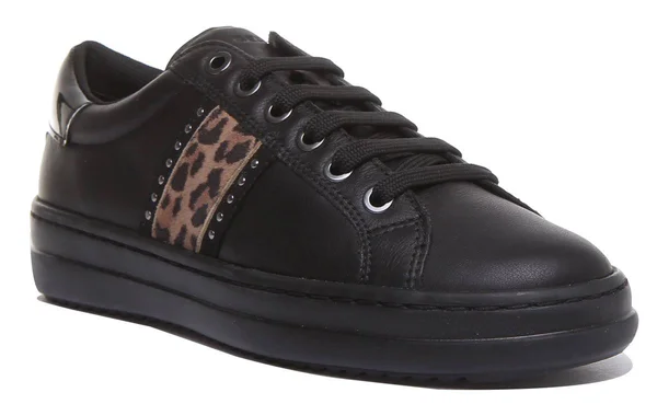 Geox D Pontoise G in Black