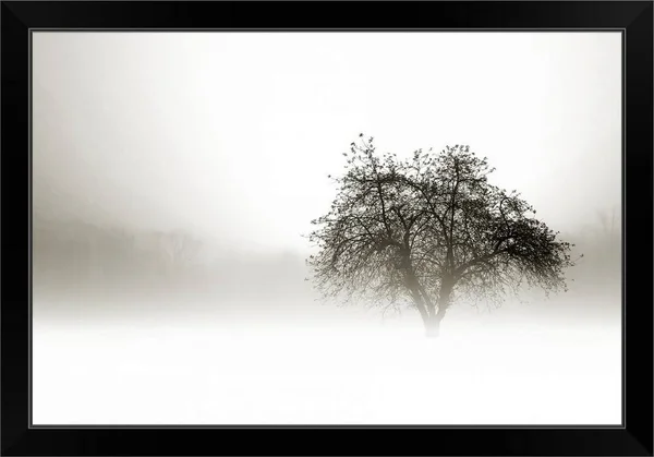 in The Mist I - Black Framed Wall Art, 30x20, Great Big Canvas
