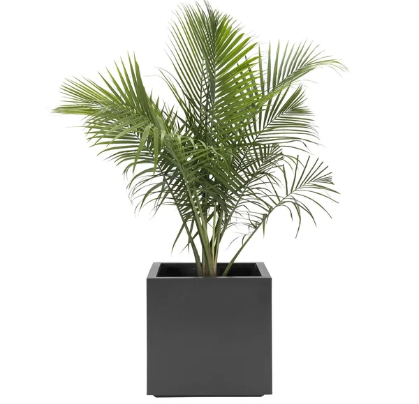 Seeley Cube Planter Modern Indoor Outdoor Square Fiberglass, NMN Designs Med - 14x22L x 14x22W x 14x22H, Gray