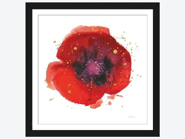 Framed Poster Prints - Splash V by Shirley Novak ( Floral & Botanical > Flowers > Poppies art)
