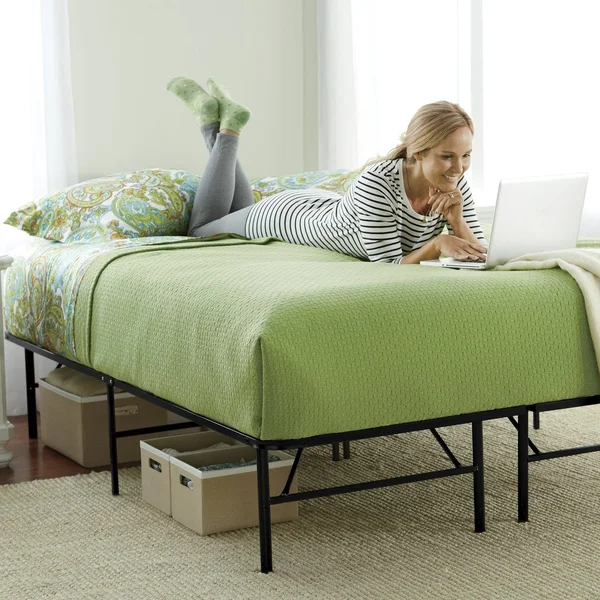 Boyd Black Steel Double Platform Bed, Full