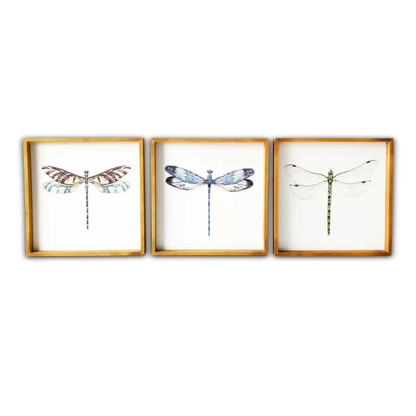 (Set of 3) 20x22 x 20x22 Dragonflies Wood Framed Wall Canvas - Gallery 57 - 20 x 20 inches