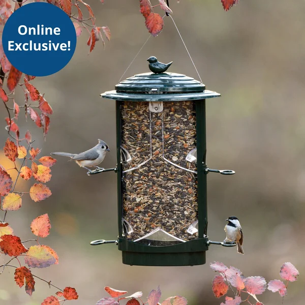 Squirrel-x LX1 Squirrel-Proof Bird Feeder with Spring-Loaded Perches - 4.2 lb. Capacity