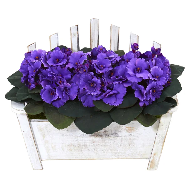 4.5& Sweet Bay Artificial Double Topiary Tree in Black Wash Planter - Nearly Natural