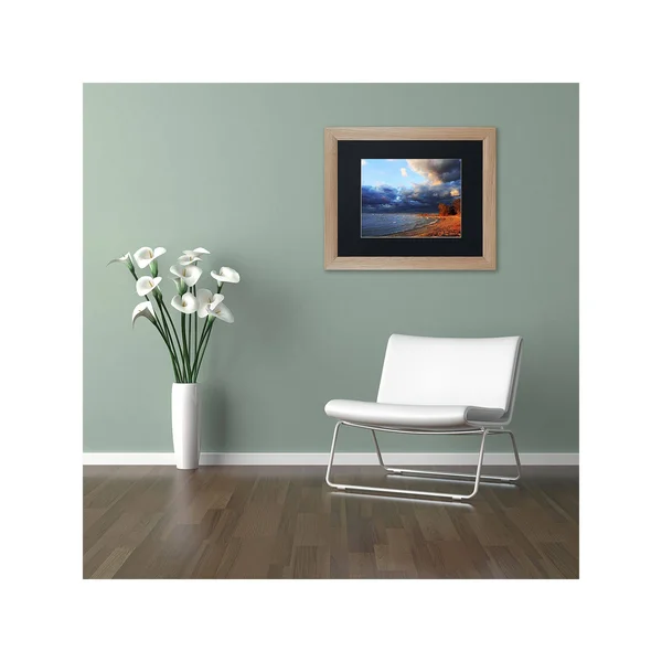 Trademark Fine Art &Lake Erie Autumn& by Jason Shaffer Framed Photographic Print - Size: 11x22 H x 14x22 W x 0.5x22 D - Matte Col