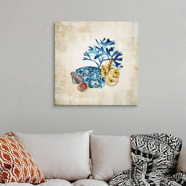 Sea Life II, Canvas Wall Art, 30x30, Great Big Canvas