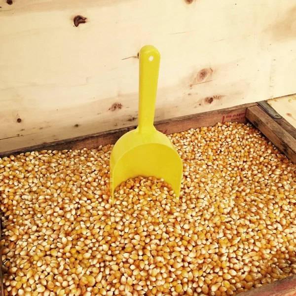 Paragon Bulk Bag Yellow Corn 50 Pound