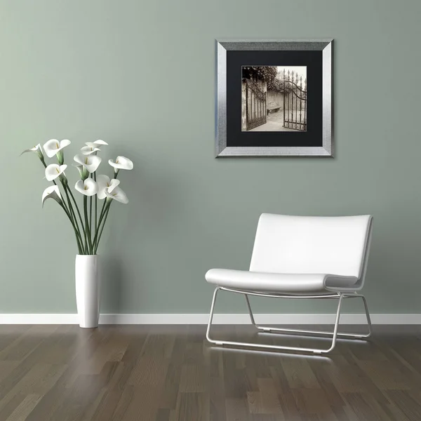 Trademark Art Alan Blaustein 'Avignon I' Framed Art