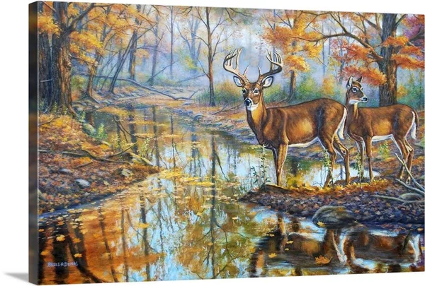 Brookside Retreat - Whitetails - Canvas Wall Art, 48x32, Great Big Canvas