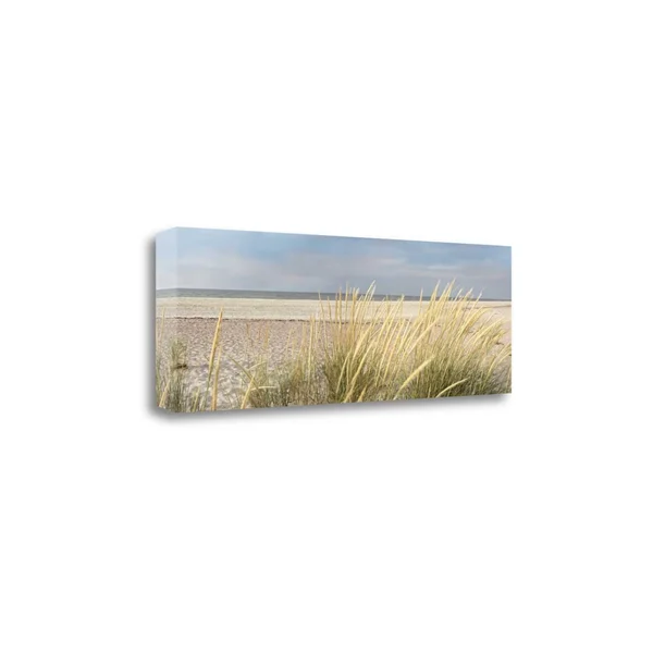 Tangletown Fine Art Island Sand Dunes by Alan Blaustein, Giclee Print on Wrap Canvas, 39x13x22