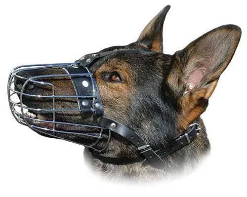 Wire Basket Muzzle - 3