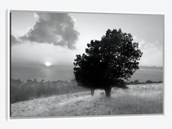 Framed Canvas Art (White Floating Frame) - Spitler Knoll Overlook by Winthrope Hiers ( scenic & landscapes > Nature u003