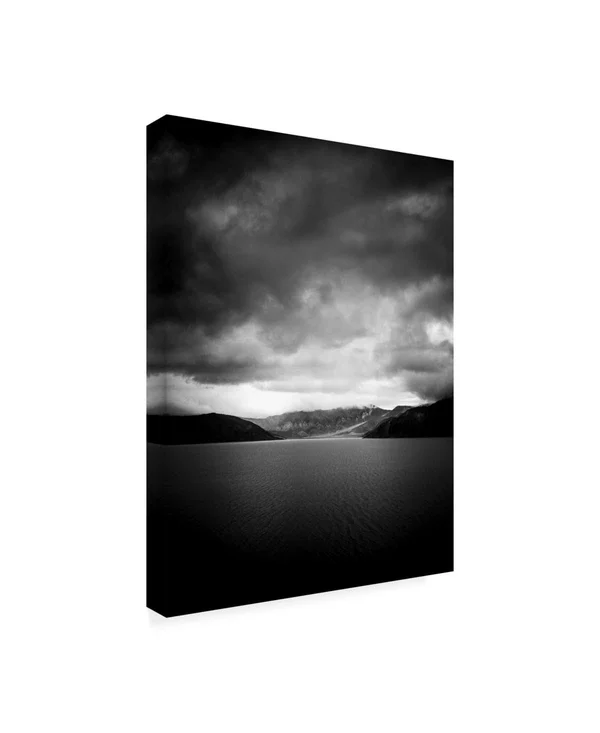 Trademark Fine Art Ic01291-C2432Gg Design Fabrikken 'stormful Fabrikke