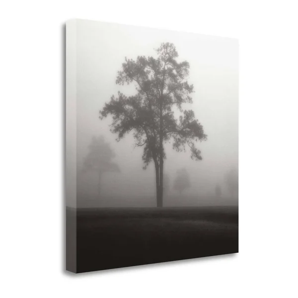 Tangletown Fine Art Fog Tree Study I by Jamie Cook - Giclee Print on Gallery Wrap Canvas, 35x22X35x22