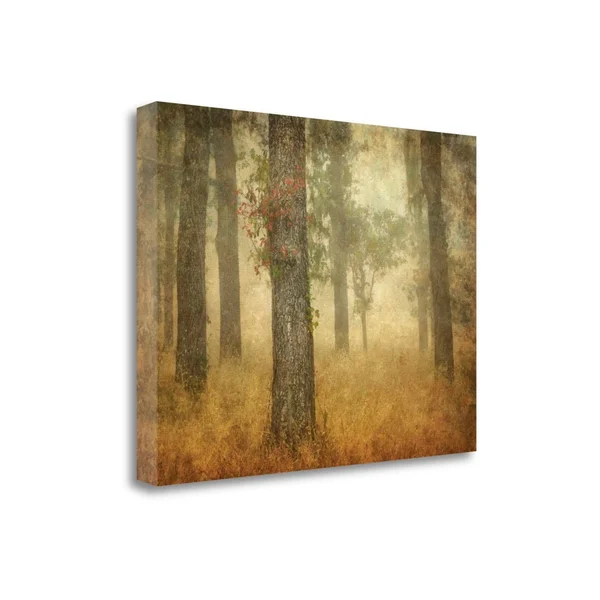 Tangletown Fine Art Oak Grove in Fog by William Guion - Giclee Print on Gallery Wrap Canvas, 32x24x22