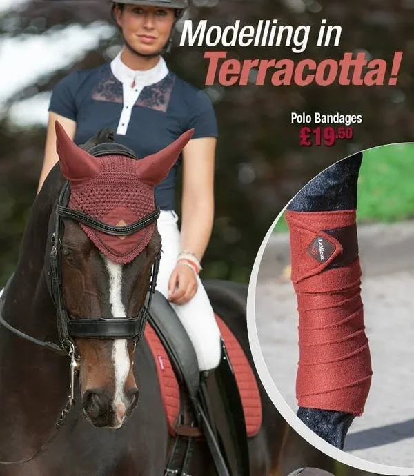 LeMieux Luxury Polo Bandages - Burgundy