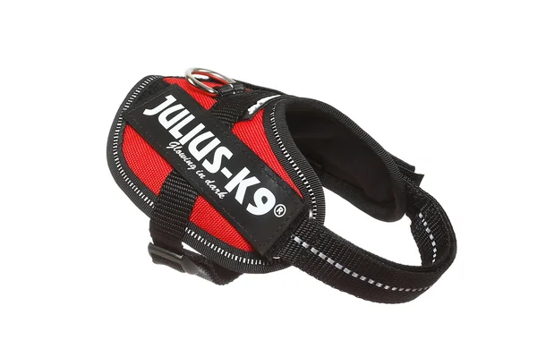 Julius-K9 IDC Powerharness Dog Harness - Blue, Size 2