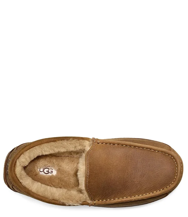 Ugg Ascot Tan - Men's, Size: 17, Brown