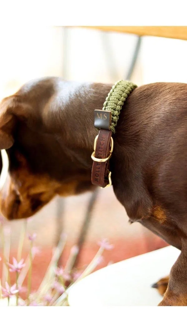 Touch of Leather Dog Collar - Military S - Steel
