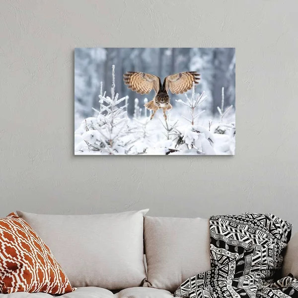 Eurasian Eagle-Owl - Canvas Wall Art, 36x24, Great Big Canvas