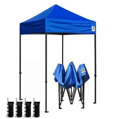 5 ft. W x 5 ft. D Steel Pop-Up Canopy Eurmax Roof Color: Blue