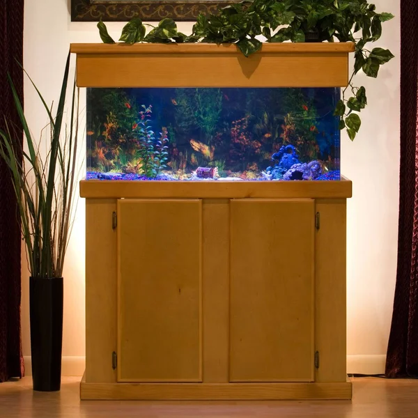 Clear for Life 29r Rectangle UniQuarium - Black Back