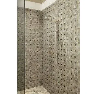 Toto TS300A61#PN 5-1/2-Inch Traditional Collection Series A Single-Spray Showerhead, Polished Nickel