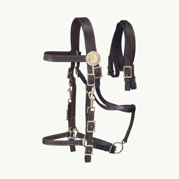 Australian Outrider Supreme Leather Halter Bridle - Black