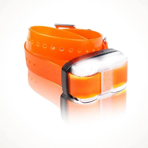 Dogtra Edge Remote Trainer