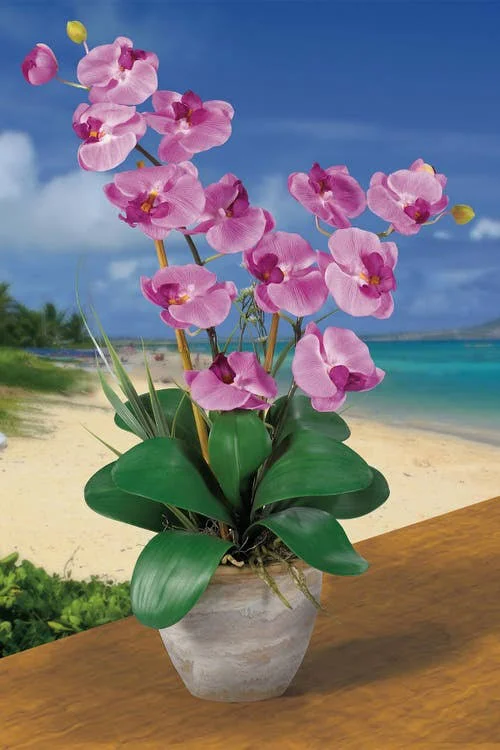 Nearly Natural Double Stem Phalaenopsis Silk Orchid Arrangement Mauve