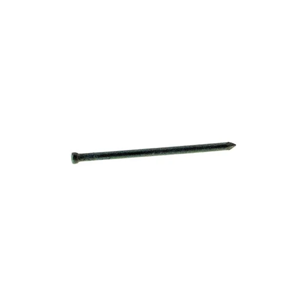 Grip-Rite 5027572 3 in. 5 lbs 10D Finishing Hot-Dipped Galvanized Steel Nail - Pack of 12
