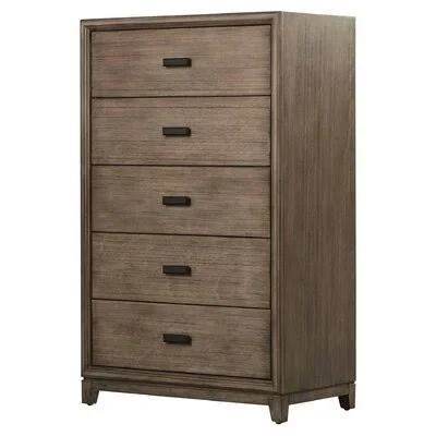 Aarush 5 Drawer Chest Greyleigh