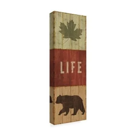 Trademark Fine Art 'Lake Lodge XIV' Canvas Art by Sue Schlabach, Size: 16 x 47