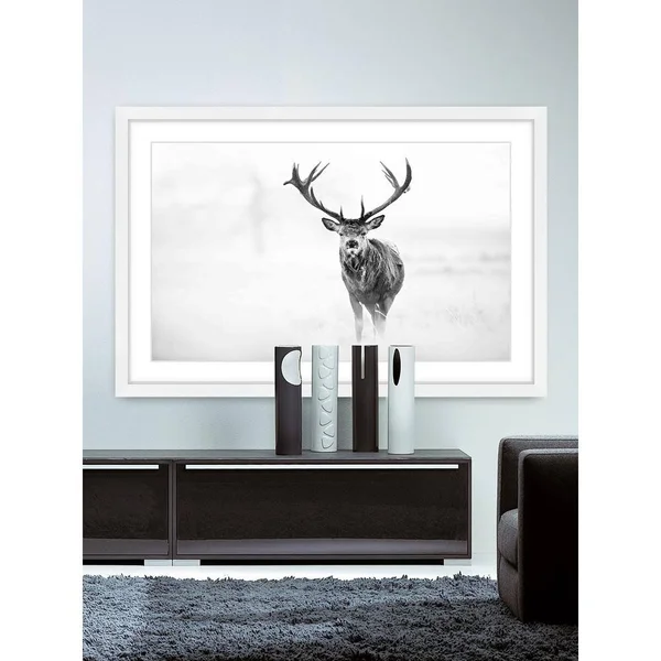 Beetle Lake Canvas Print - Multi