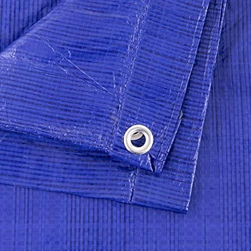 Kotap 100-ft x 100-ft General Purpose Blue Poly Tarp - Item: TRA-10100